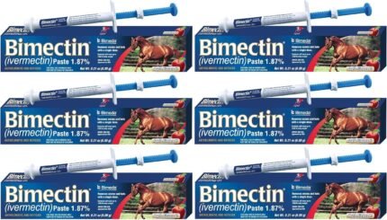 Ivermectin Paste Horse Wormer (1.87 Ivermectin) – 6 DOSES, Model: , Home & Outdoor StoreQ