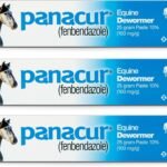 (3 Pack) PANACUR Dewormer Horse Paste 10%, 100mg Each
