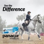 (3 Pack) PANACUR Dewormer Horse Paste 10%, 100mg Each - Image 3