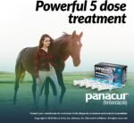 MERCK ANIML Health/DURVET Panacur Powerpac Dewormr Fenbendazole 1 Pack 57 Gram Paste 10% - Image 8
