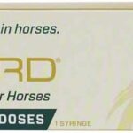 6 Pack Ulcergard (Omeprazole) Oral Paste Syringe (13.68 Gm)