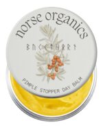 Norse Organics | Pimple Stopper Day Balm | Daytime Skin Treatment for Acne and Hydrating Skin with Arctic Herbs & Beeswax | New Packaging Formerly Called 6-in-1 Daily Glow & Moisturize Balm | 1 oz