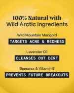 Norse Organics Pimple Stopper Night Balm | Acne Spot Treatment for Redness and Soothing Skin | Natural Bioactive Ingredients Help Treat Blemishes and Breakouts | Dermatologist Approved Skincare | 1 oz - Image 4