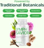 Plant-Based Lymphatic Support Supplement with Red Clover, Horse Chestnut & Burdock Root for Fluid Balance & Daily Wellness - Non-GMO, Made in USA - 30-Day Supply, 1 Bottle - Image 3