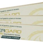 Ulcergard Paste, 3 Pack